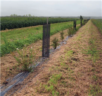 Fiche 3 : Bénéfices environnementaux d’un aménagement