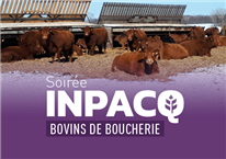Aménager et gérer un enclos d’hivernage avec succès : c’est possible!