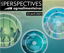 Alimenter la réflexion (version anglaise)