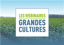 Comprendre les mécanismes pour mieux s'y retrouver