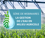 Gestion raisonnée de l'irrigation : intervenir aux moments opportuns
