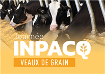 Croisement et conformation : quelques données pour mieux valoriser