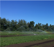Service de mentorat en irrigation des cultures