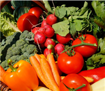 Service de mentorat en horticulture maraîchère et fruitière