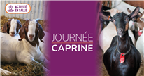 Présentations de la Journée caprine 2025