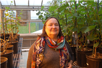 Une championne des champignons : la carrière d’Odile Carisse dédiée à la lutte contre les maladies des plantes