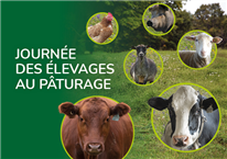 Présentations de la Journée des élevages au pâturage 2025