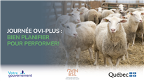 Journée Ovi-Plus: Bien planifier pour performer ! 2025