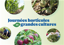 Présentations - Journées horticoles et grandes cultures 2025 à Saint-Rémi - Journée agriculture de précision : des innovations au service de l’efficacité