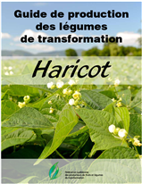 Guide de production des légumes de transformation Haricot