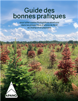 Guide des bonnes pratiques pour lutter contre Phytophthora abietivora dans les productions d'arbres de Noël au champ et en pépinière