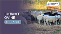 Présentations de la Journée ovine de l'Estrie 2026