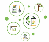 INTEGRATED CROP PEST MANAGEMENT PRACTICES: A CLASSIFICATION BASED ON A RAPID REVIEW OF INTERNATIONAL AND CANADIAN LITERATURE