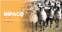 Présentations de la Journée INPACQ ovins 2026