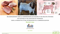 Rapport: Accompagnement dans la compréhension des besoins et des réalités d'affaires en commercialisation caprine