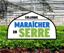 Développement d'archétypes énergétiques pour caractériser le parc de serres du Québec