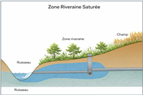 Appel aux producteurs agricoles partenaires | Projet pilote d'aménagements verts