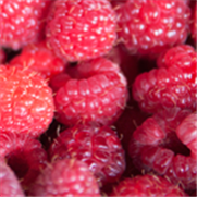 Framboise, Avertissement No 1, 22 avril 2026