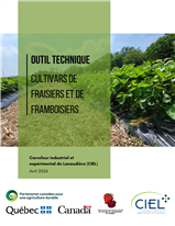 OUTIL TECHNIQUE - Nouvel outil de diffusion de connaissances techniques innovantes pour les producteurs du secteur des petits fruits intégrant les résultats sur le réseau d'essais de nouveaux cultivars de fraises.
