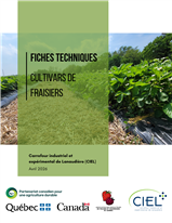 FICHES TECHNIQUES - Nouvel outil de diffusion de connaissances techniques innovantes pour les producteurs du secteur des petits fruits intégrant les résultats sur le réseau d'essais de nouveaux cultivars de fraises.