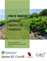 FICHE DE TRANSFERT - Nouvel outil de diffusion de connaissances techniques innovantes pour les producteurs du secteur des petits fruits intégrant les résultats sur le réseau d'essais de nouveaux cultivars de fraises.