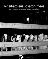Maladies caprines : Symptômes et diagnostics