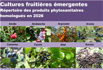Cultures fruitières émergentes - Répertoire des produits phytosanitaires homologués en 2026