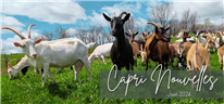 Capri Nouvelles - Bulletin d'information juin 2026