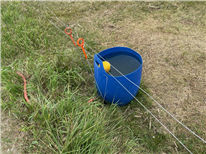 Importance de l'eau pour les bovins de boucherie