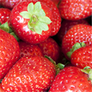 Fraise, Avertissement No 14, 15 juillet 2026