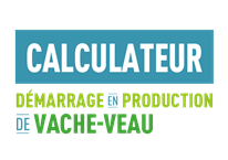 Calculateur - Démarrage en production de Vache-Veau (2026)