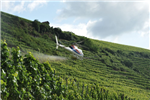 Acquisition de connaissances sur l'application de pesticides par voie aérienne - hélicoptère | Revue de littérature