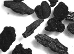 Substrats horticoles à base de biochar - Performance et économie
