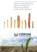 Guide d'identification des vers fil-de-fer dans les grandes cultures au Québec