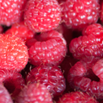 Framboise, Fiche technique : Taille et éclaircissement