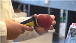 Douce science, nouvel appareil pour déterminer la maturité des pommes