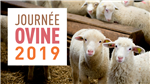 Présentations de la journée ovine du 8 février 2019 à Coaticook