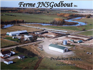 L'équilibre entre le travail et la famille avec 450 vaches de boucherie