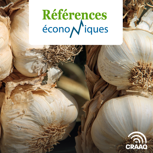 Ail, opérations semi-mécanisées - Budget à l'hectare - 2023