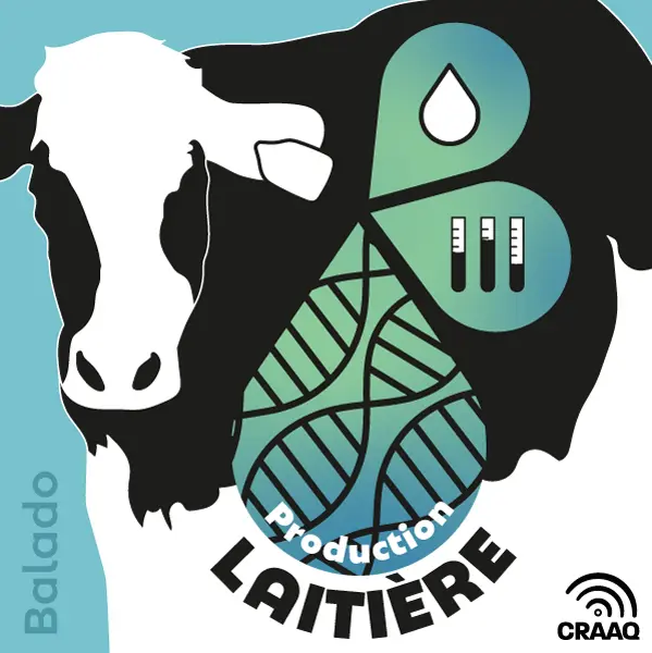 Balado sur la production laitière