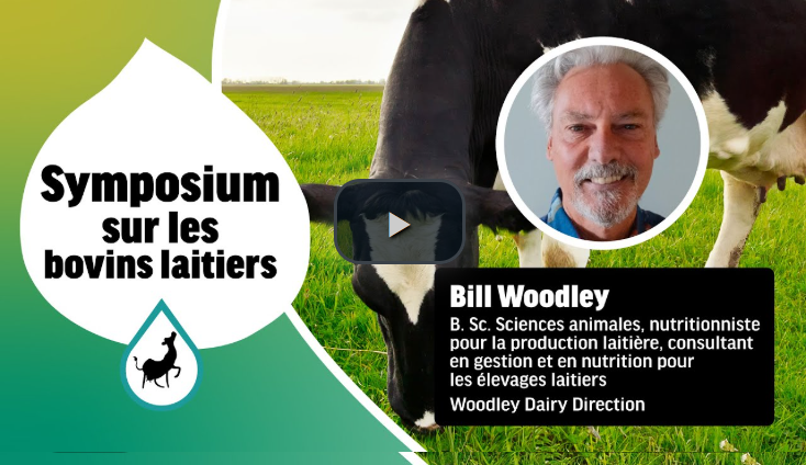 Les effets de la longueur des particules de fourrage et de la rumination sur la digestibilité des fibres et sur la performance des vaches
