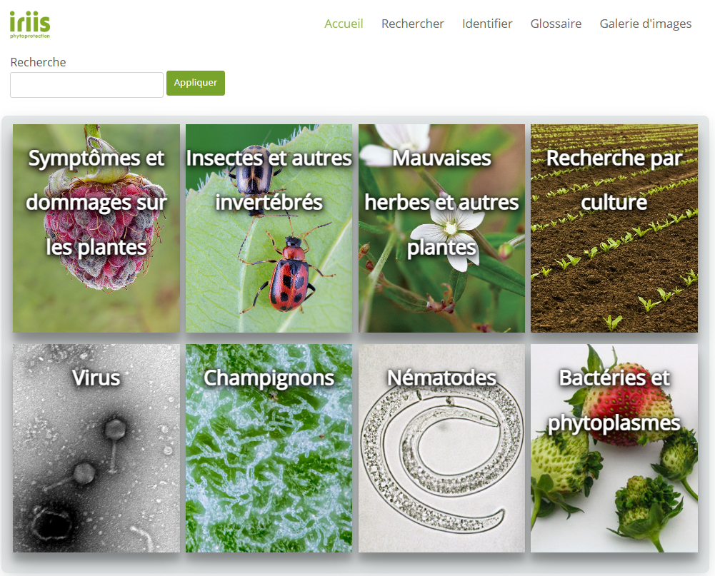 IRIIS Phytoprotection