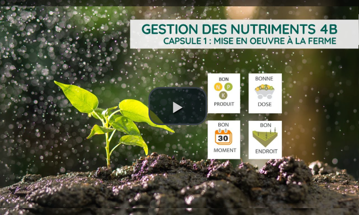 L'approche des 4B : Mise en oeuvre à la ferme