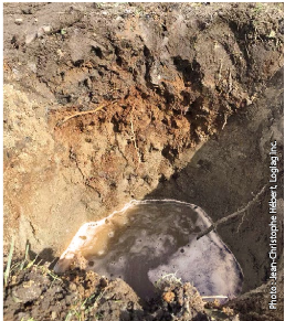 Nappe phréatique élevée (© Jean-Christophe Hébert, Logiag inc.)