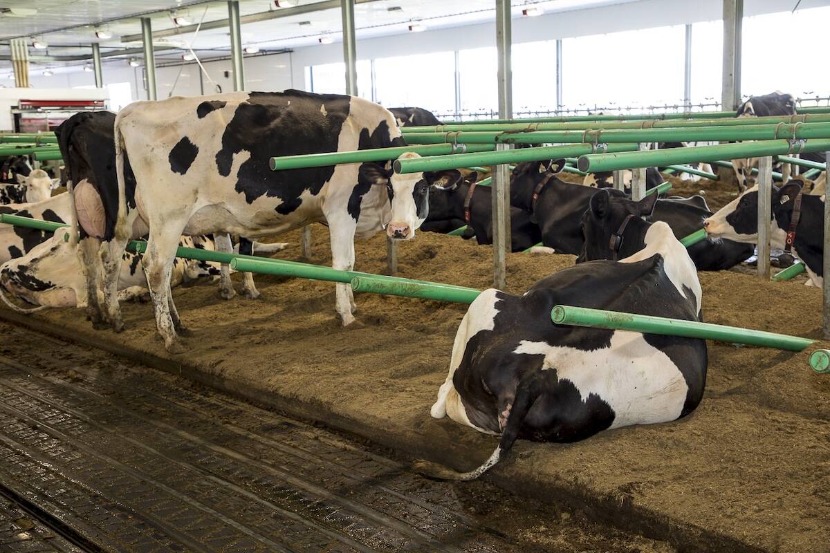 Image Agri-Réseau