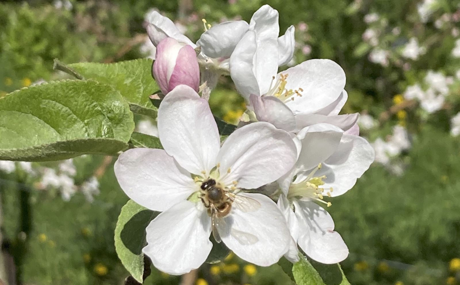 Image Agri-Réseau