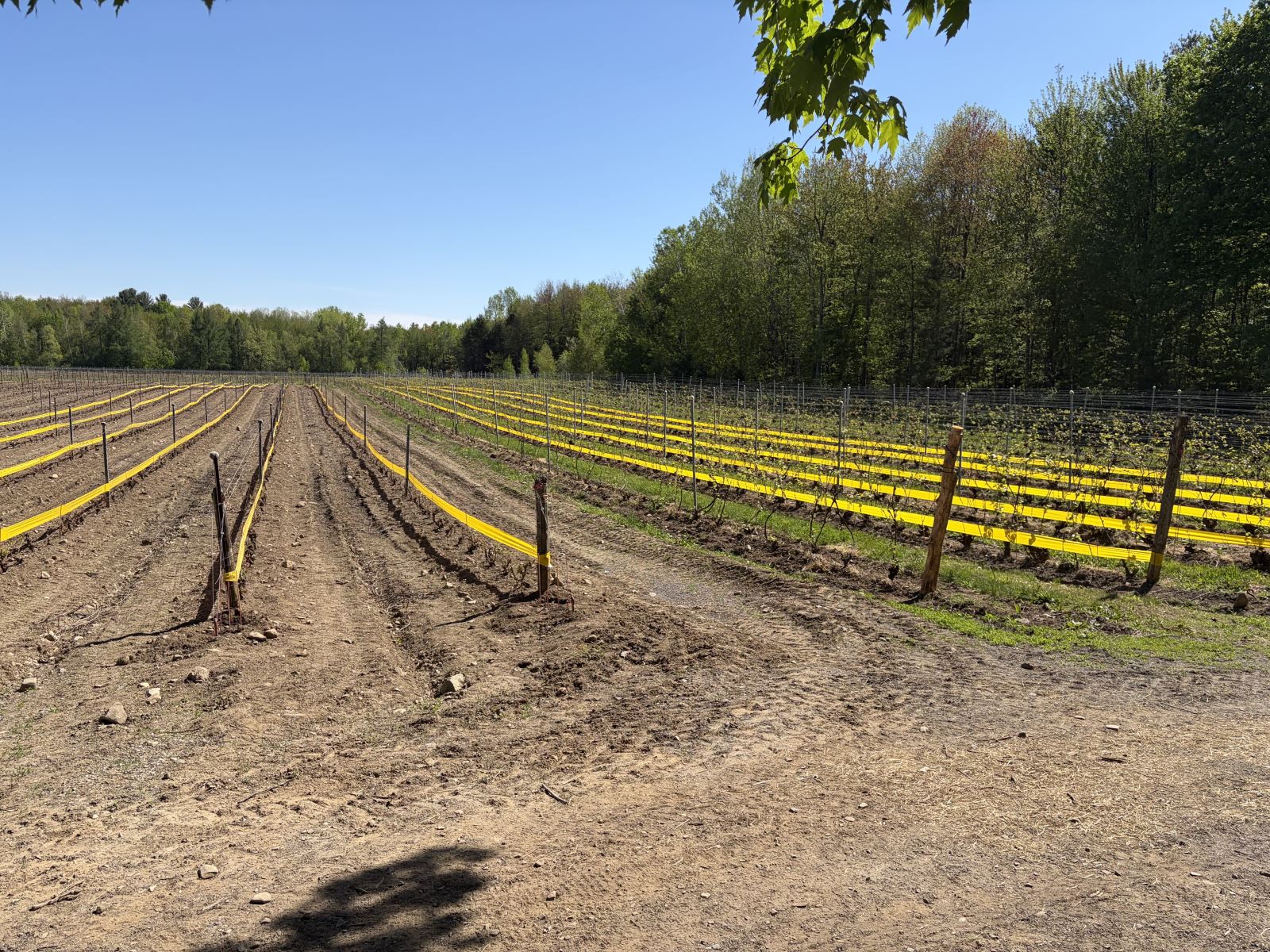 Image Agri-Réseau