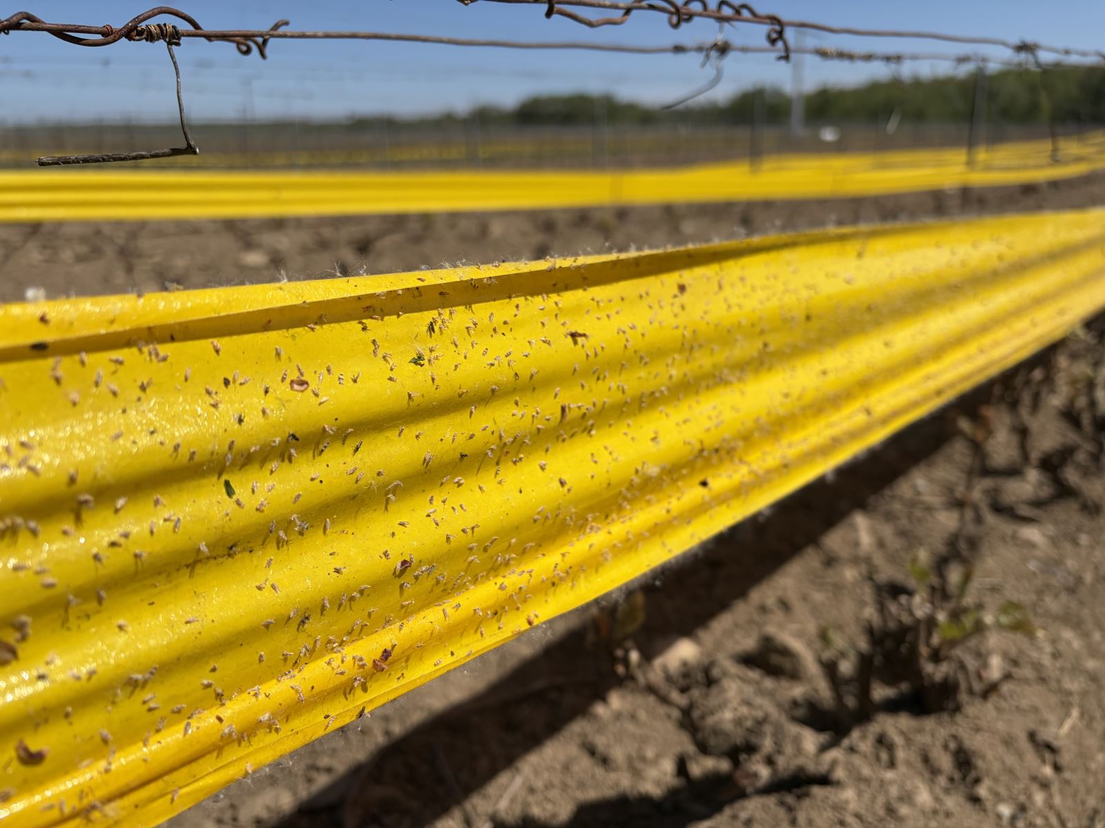 Image Agri-Réseau
