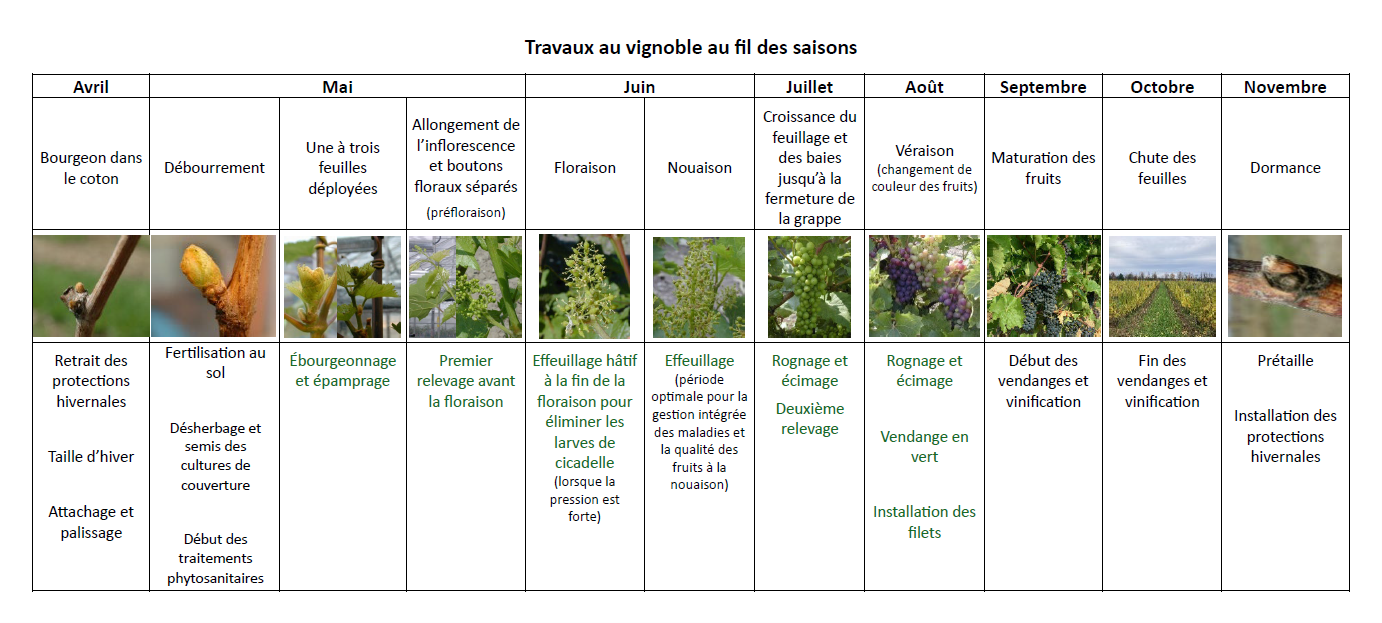 Image Agri-Réseau
