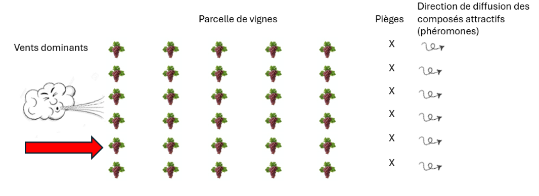 Image Agri-Réseau